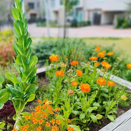 Long Journey Appartement *