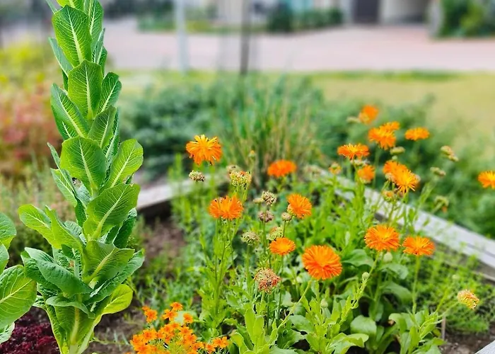 Long Journey Διαμέρισμα *